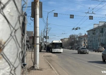Число льготных поездок для пенсионеров по карте «Умка» сократится