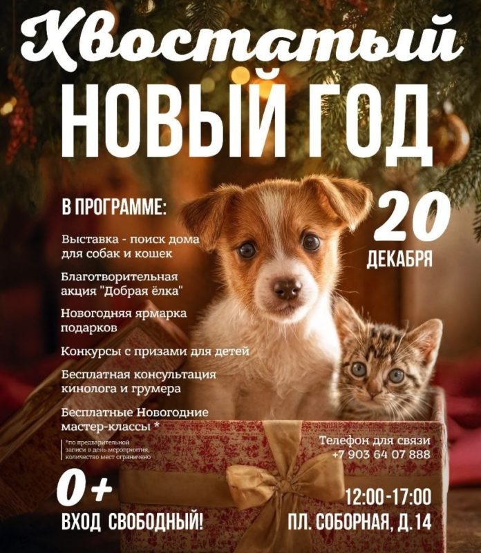 Рязанцев приглашают на выставку-пристройство для кошек и собак