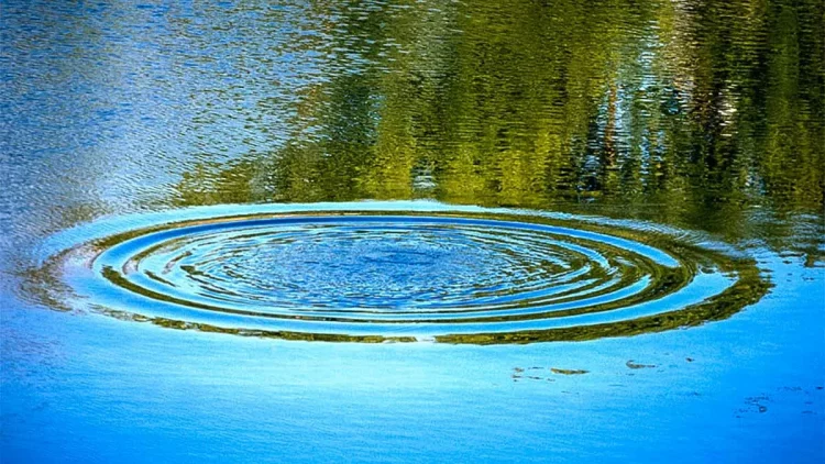 В Старожиловском районе из реки спасатели подняли труп мужчины