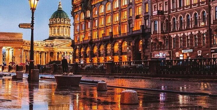 Супруги участников СВО будут бесплатно ездить по Петербургу