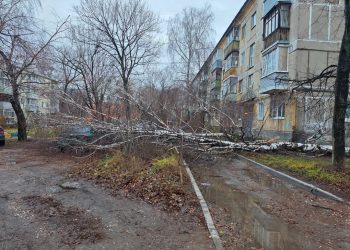 В рязанской Горроще ураган повалил деревья В рязанской Горроще ураган повалил деревья