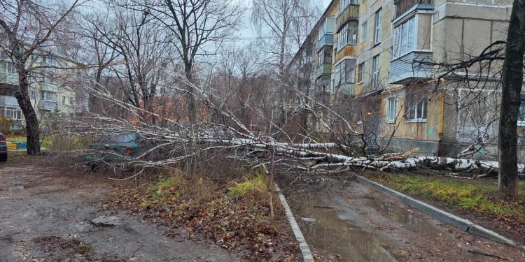 В рязанской Горроще ураган повалил деревья