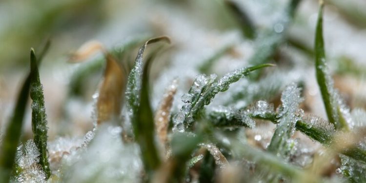 В среду в Рязанской области ожидается гололедица и до +9 градусов