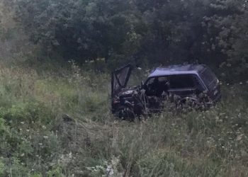 При опрокидывании автомобиля в Рязанском районе пострадали двое детей