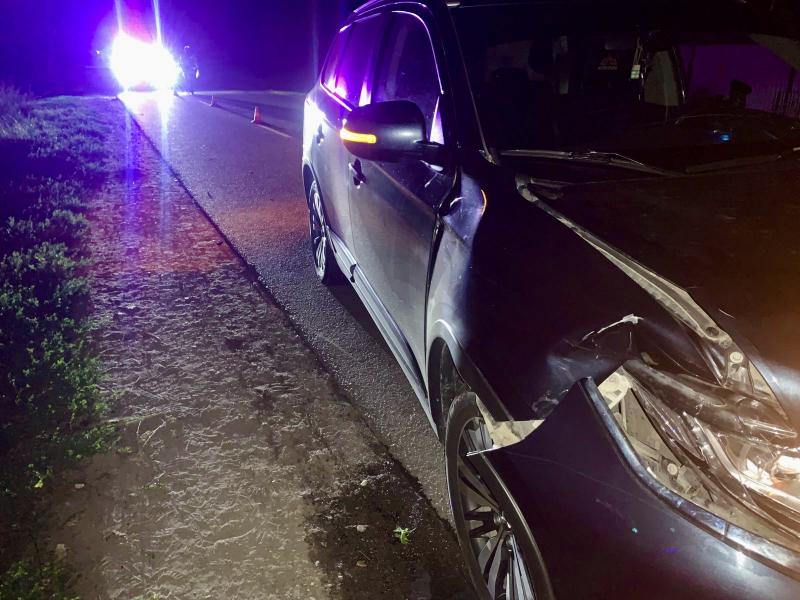 В Спасском районе водитель на Mitsubishi насмерть сбил 51-летнюю женщину-пешехода