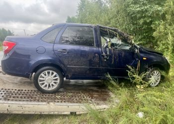 В ДТП в Клепиковском районе пострадали два человека
