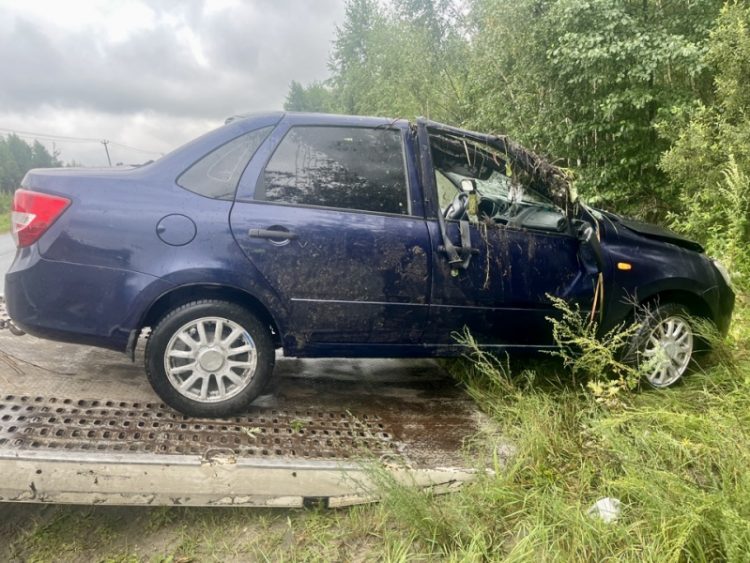 В ДТП в Клепиковском районе пострадали два человека