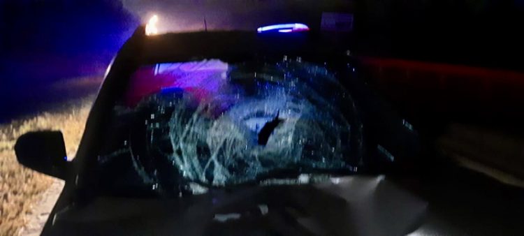 В Рыбновском районе 47-летний водитель насмерть сбил 39-летнюю женщину-пешехода