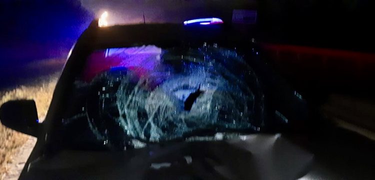 В Рыбновском районе 47-летний водитель насмерть сбил 39-летнюю женщину-пешехода В Рыбновском районе 47-летний водитель насмерть сбил 39-летнюю женщину-пешехода