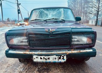 В Клепиковском районе 39-летний водитель на ВАЗ насмерть сбил 76-летнюю пенсионерку