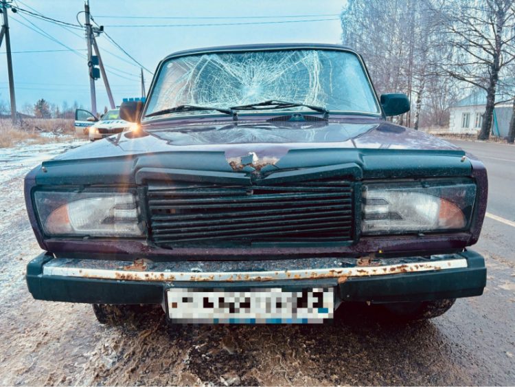 В Клепиковском районе 39-летний водитель на ВАЗ насмерть сбил 76-летнюю пенсионерку