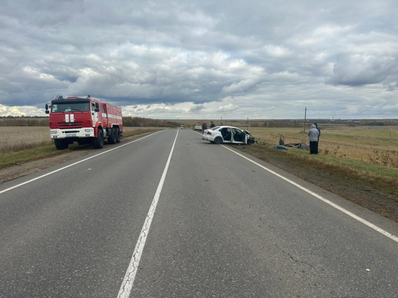 В ДТП в Сапожковском районе погибли три человека, в том числе 4-летняя девочка