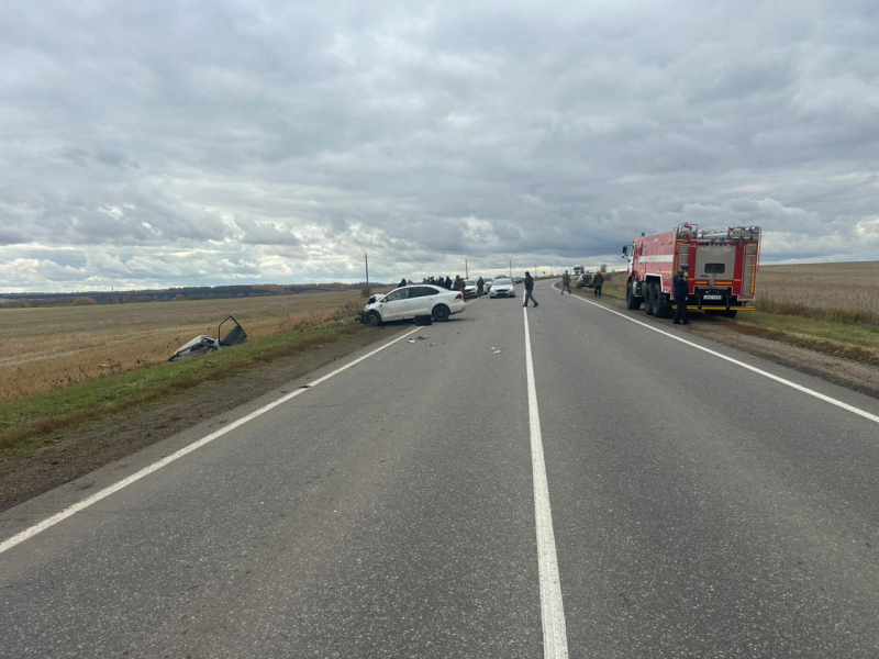 В ДТП в Сапожковском районе погибли три человека, в том числе 4-летняя девочка