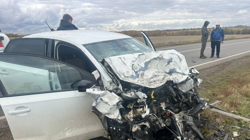 В ДТП в Сапожковском районе погибли три человека, в том числе 4-летняя девочка