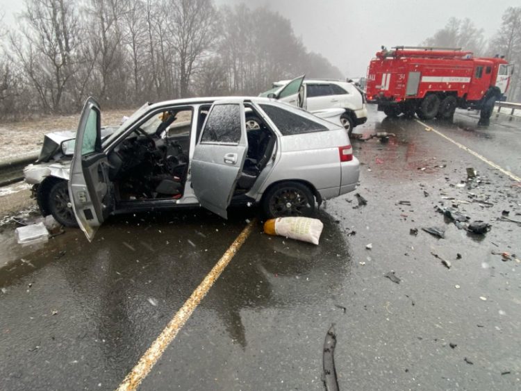 Рязанские полицейские прокомментировали смертельное ДТП в Путятинском районе