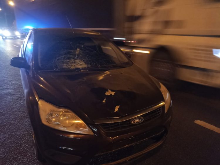 В ДТП в Рыбновском районе водитель насмерть сбил 65-летнего пешехода