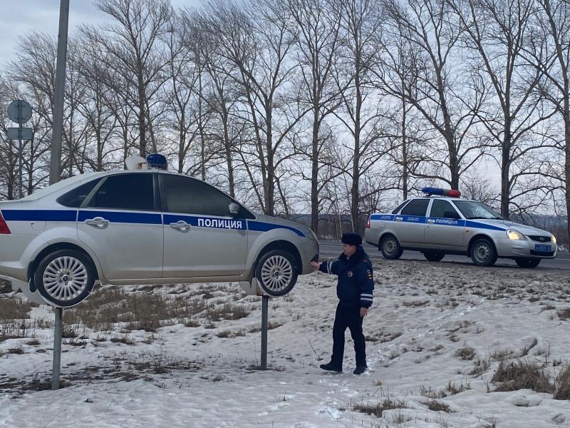 Полицейские установили на дорогах Рязанского региона макеты машин ДПС