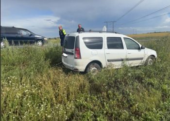 В ДТП в Пронском районе пострадали два человека, в том числе 5-летний ребенок