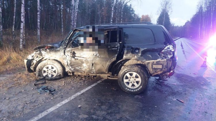 В ДТП в Клепиковском районе пострадали два водителя