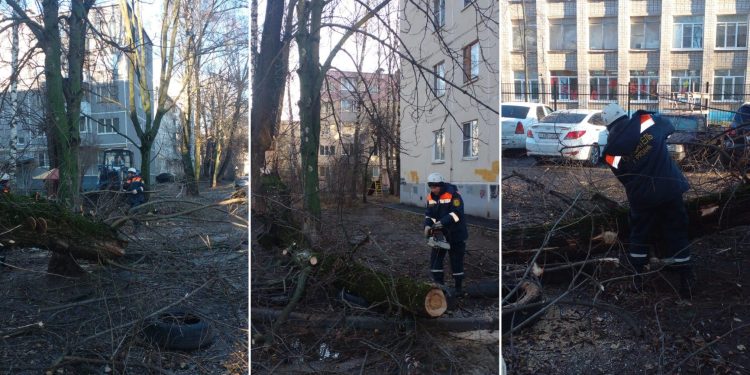 Мэрия рассказала о работе по ликвидации последствий урагана в Рязани