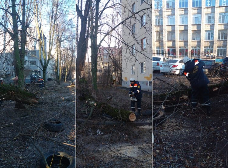 Мэрия рассказала о работе по ликвидации последствий урагана в Рязани