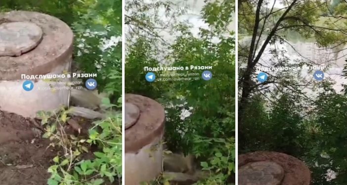 Рязанцы пожаловались на прорыв канализации, которая стекает в местный пруд