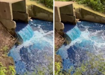 В рязанском ручье Быстрец обнаружили превышение азота нитритов и нефтепродуктов