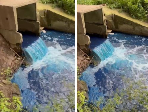 В рязанском ручье Быстрец обнаружили превышение азота нитритов и нефтепродуктов В рязанском ручье Быстрец обнаружили превышение азота нитритов и нефтепродуктов