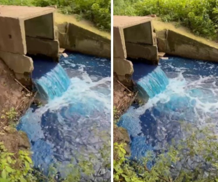 В рязанском ручье Быстрец обнаружили превышение азота нитритов и нефтепродуктов