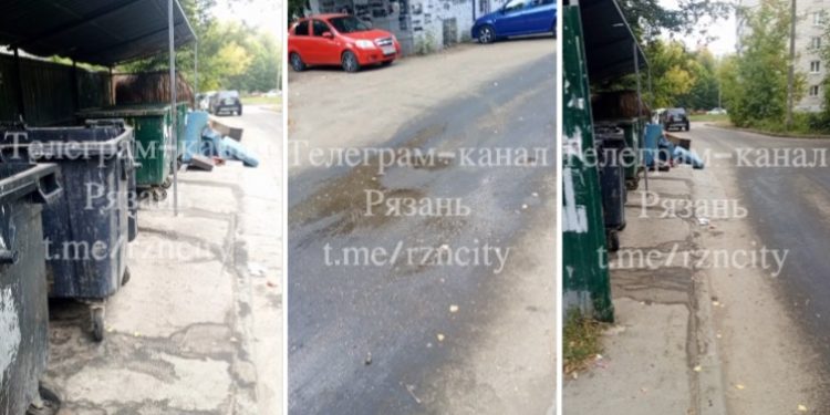 Рязанцы продолжают жаловаться на неубранные контейнерные площадки Рязанцы продолжают жаловаться на неубранные контейнерные площадки