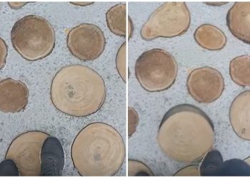 Администрация Рязани не примет работы по устройству экотропы в Лесопарке