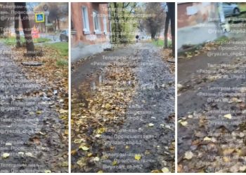 Рязанцы пожаловались на грязный тротуар в центре города