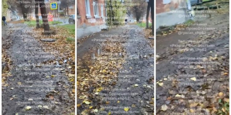 Рязанцы пожаловались на грязный тротуар в центре города
