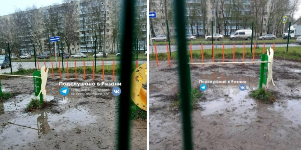 Рязанцы пожаловались на бездомных собак на детской площадке в Канищеве