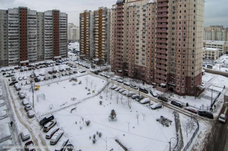 С начала 2023 года 5128 рязанских водителей получили штрафы за парковку машин в зеленой зоне