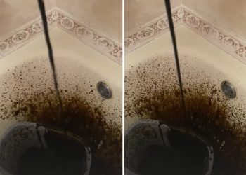 Рязанцы показали черную воду, которая течет из крана после недавнего ремонта Рязанцы показали черную воду, которая течет из крана после недавнего ремонта