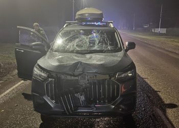 В рязанском Ряжске насмерть сбили 33-летнего пешехода