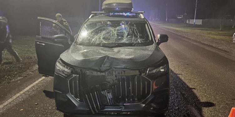 В рязанском Ряжске насмерть сбили 33-летнего пешехода В рязанском Ряжске насмерть сбили 33-летнего пешехода