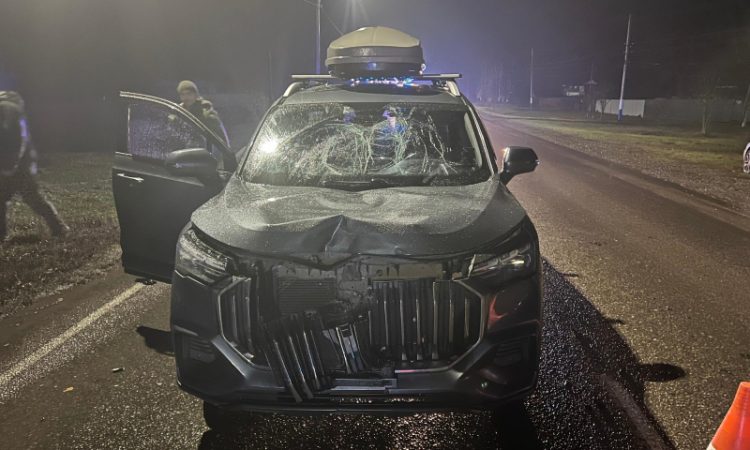 В рязанском Ряжске насмерть сбили 33-летнего пешехода