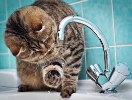 В Рязани отключили холодную воду В Рязани отключили холодную воду