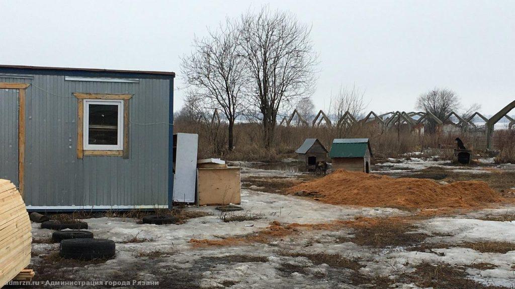 Специалисты проверили условия для бездомных животных в сасовском приюте