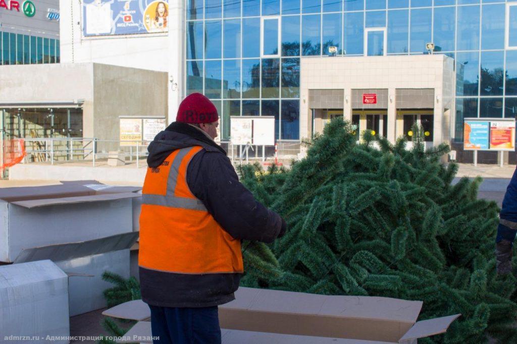 Около рязанского МКЦ начали собирать 12-метровую новогоднюю ель