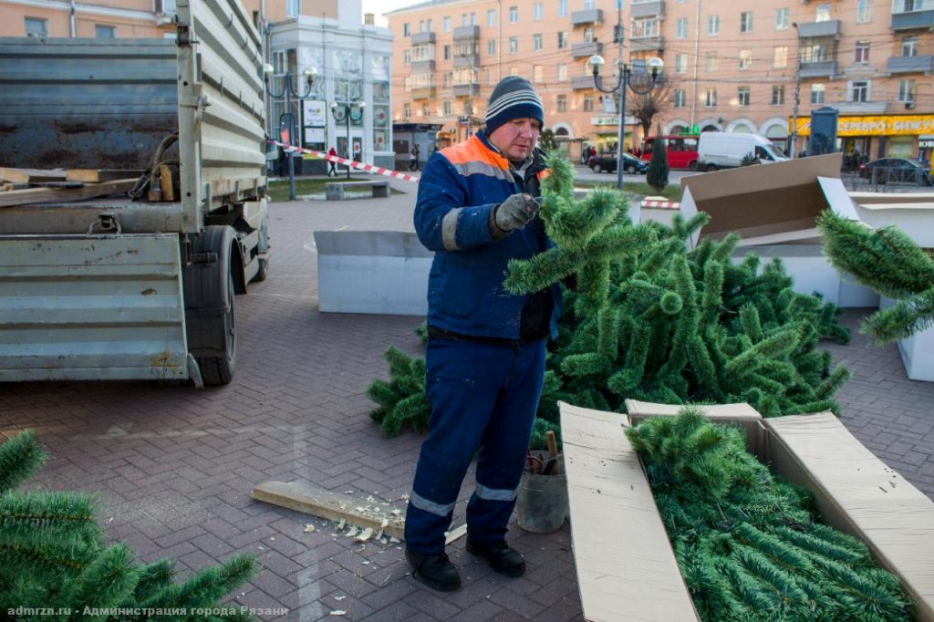 Около рязанского МКЦ начали собирать 12-метровую новогоднюю ель