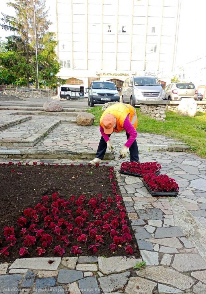 В Рязани продолжают украшать городские улицы бархатцами, колеусами и розовой бегонией