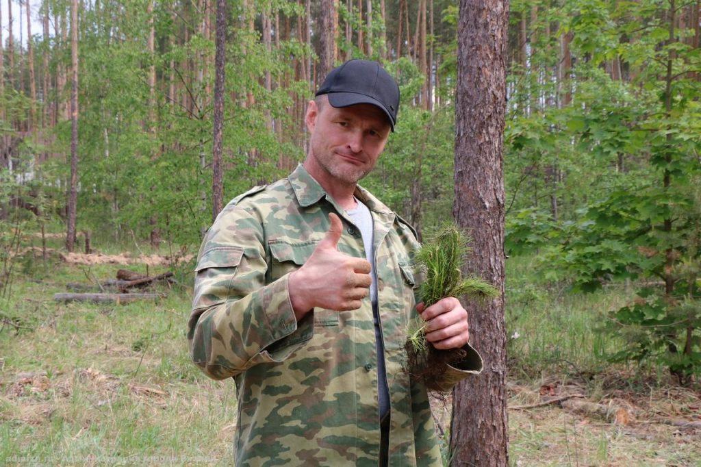 В лесу возле рязанской Солотчи высадили свыше 1000 новых сосен