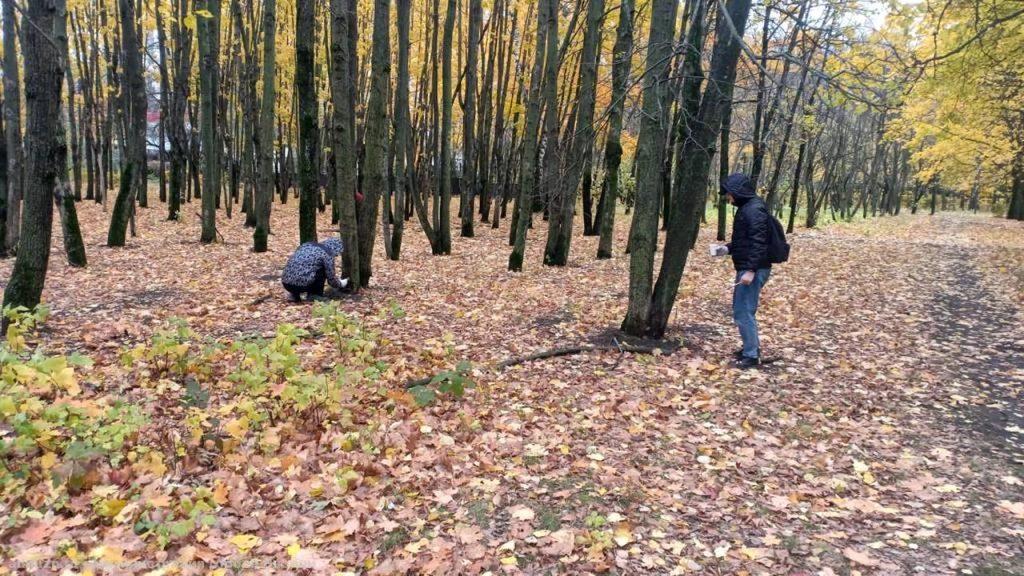 В рязанском парке Советско-Польского братства по оружию прошла экологическая акция