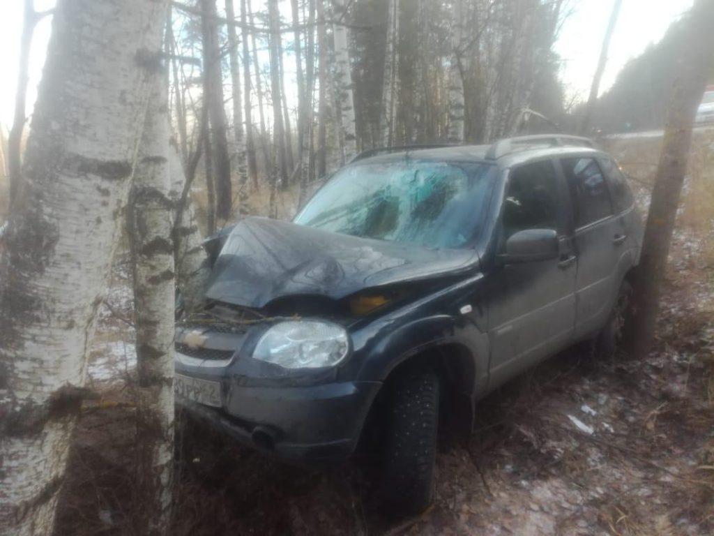 Под Рязанью 58-летний водитель «Niva Chevrolet» врезался в дерево