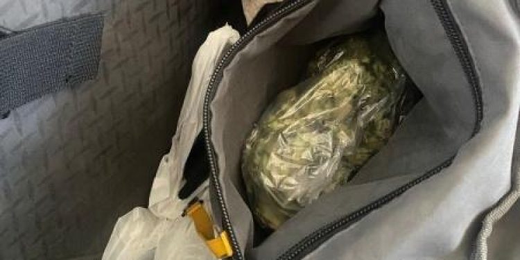 Рязанские полицейские изъяли у 35-летнего мужчины 120 граммов марихуаны