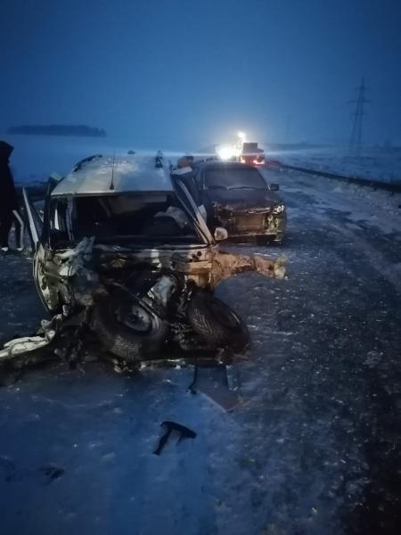 В массовом ДТП в Михайловском районе погибла 56-летняя женщина-водитель