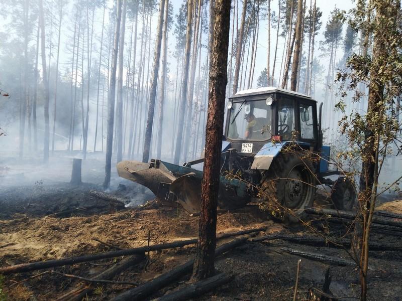 В Кадомском районе произошел лесной пожар